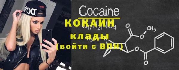 соль курить ск Новодвинск