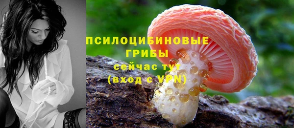 кокс Новокубанск