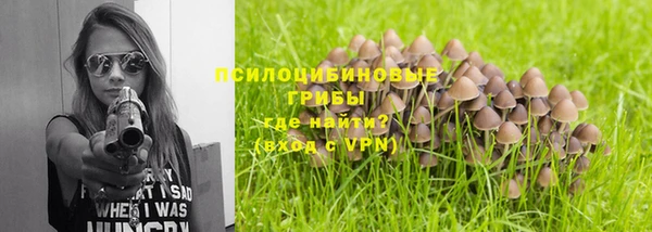 mdpv Новозыбков