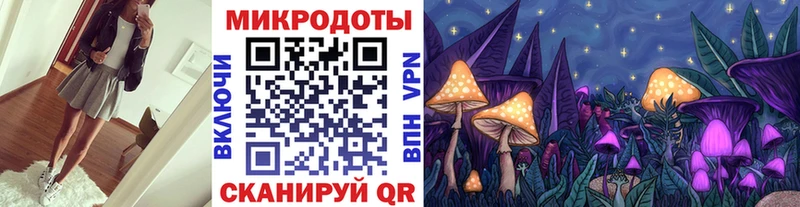 Галлюциногенные грибы Magic Shrooms  blacksprut ONION  Новотроицк 